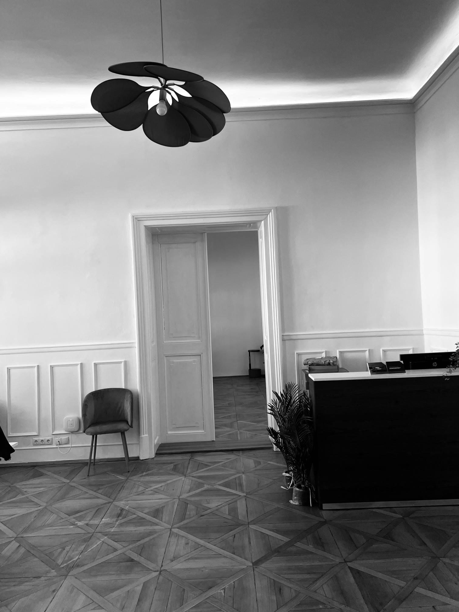 elisabethamann.com Ein Büroraum mit offener Türe.